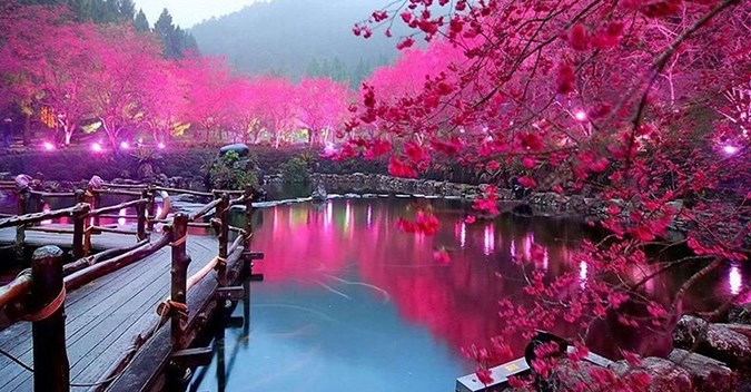 Japan & Taiwan